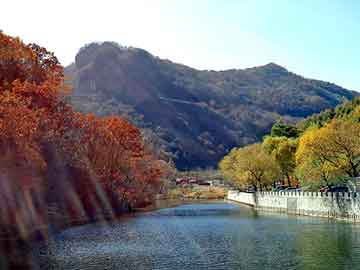 新澳天天开奖资料大全旅游团，天涯社区论坛